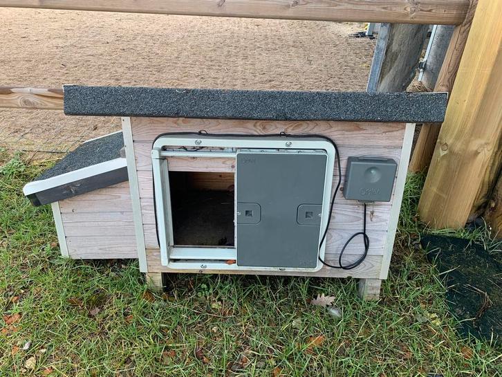 Kippenhok, Dieren en Toebehoren, Pluimvee | Toebehoren, Ophalen