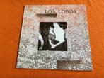 Los Lobos, Cd's en Dvd's, Ophalen of Verzenden
