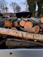 Brandhout op stam, Tuin en Terras, Brandhout, Minder dan 3 m³, Ophalen, Overige houtsoorten, Stammen