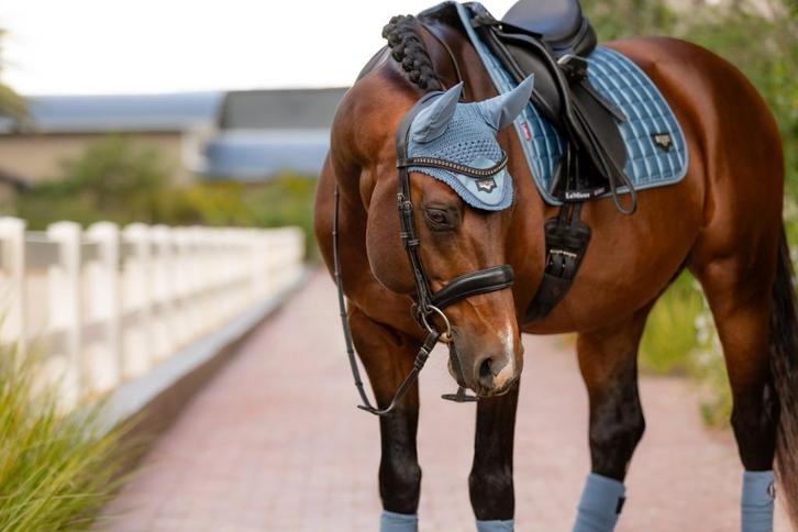 LeMieux Loire Oornetje Ice Blue full SALE, Dieren en Toebehoren, Paarden en Pony's | Hoofdstellen en Tuigage, Nieuw, Overige soorten