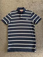 Polo homme neuf  SUPERDRY taille XXL, Nieuw, Overige maten