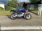 Honda cb 600 f hornet (PC36), Motoren, Motoren | Honda, LED Verlichting, 4 cilinders, Motorrijbewijs A, Particulier