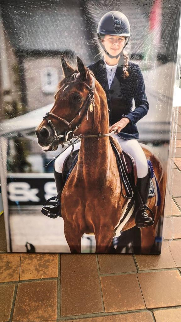 Concorde fok/recreatie merrie, Animaux & Accessoires, Chevaux & Poneys | Produits de soin, Utilisé, Enlèvement