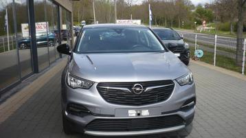 Opel Grandland X glx (bj 2019, automaat)