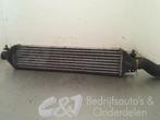 Intercooler d'un Opel Combo, Opel, Utilisé, 3 mois de garantie, Enlèvement ou Envoi