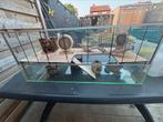 Grote hamsterkooi met toebehoren, Ophalen, Zo goed als nieuw, Kooi, Hamster