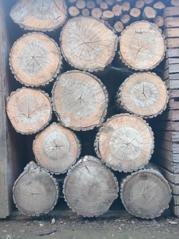 Boomstammen (Kruk, tafel, werkblok.....) beschikbaar voor biedingen