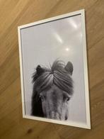 Decoratie kader paard 70x50 cm, Ophalen, Wanddecoratie