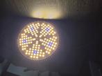 Groeilamp 150 leds full spectrum, Tuin en Terras, Kweekspullen, Ophalen, Zo goed als nieuw