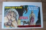 filmaffiche Terence Hill Trinity Is Still My Name filmposter, Verzamelen, Rechthoekig Liggend, Ophalen of Verzenden, Zo goed als nieuw