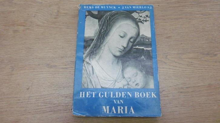 Het gulden boek van Maria, Boeken, Godsdienst en Theologie, Gelezen, Christendom | Katholiek, Ophalen of Verzenden