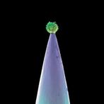 Peter Gabriel - New Blood - CD, Verzenden, Nieuw in verpakking