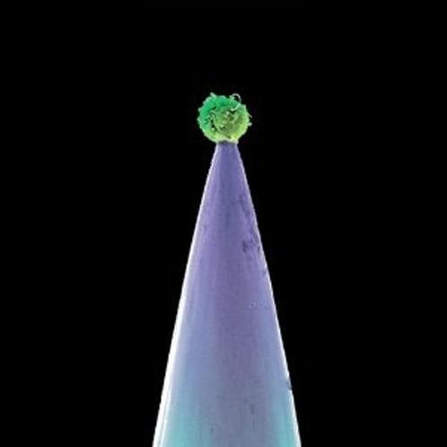 Peter Gabriel - New Blood - CD, Cd's en Dvd's, Cd's | Pop, Nieuw in verpakking, Verzenden