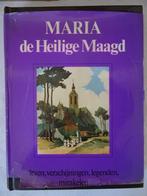 Livre Sainte Marie Pieter Terpstra Maria de Heilige Maagd, Comme neuf, Livre, Enlèvement ou Envoi, Christianisme | Catholique