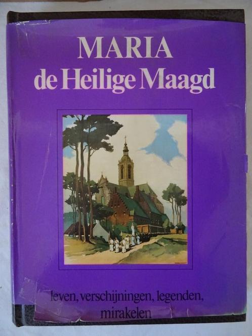Livre Sainte Marie Pieter Terpstra Maria de Heilige Maagd, Collections, Religion, Comme neuf, Christianisme | Catholique, Livre