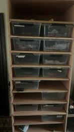 8 regius te koop, Dieren en Toebehoren, Reptielen en Amfibieën, Slang, Met terrarium, 0 tot 2 jaar