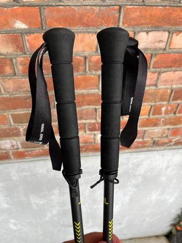 Lacal Quick Stick Carbon 130 Trailstokken Groen beschikbaar voor biedingen