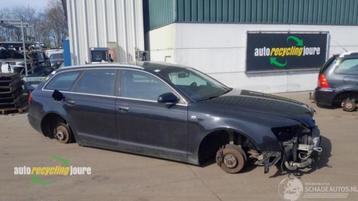 Audi A6 Avant (C6) onderdelen (kleur: LZ9Y) beschikbaar voor biedingen