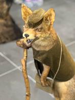 Super taxidermie jacht vos, Ophalen