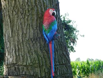 Perroquet rouge XL - Fonte - Décoration murale colorée