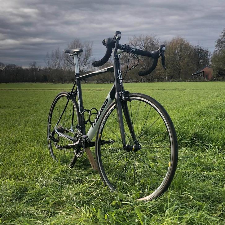 Mooie Moozes Strada uit 2017 - carbonalu voorvork, Fietsen en Brommers, Fietsen | Heren | Sportfietsen en Toerfietsen, Zo goed als nieuw