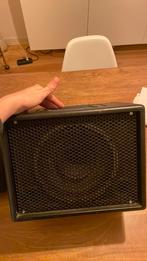 AER versterker twin channel amplifier, Ophalen of Verzenden, Gebruikt, Gitaar, 50 tot 100 watt