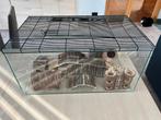 Glazen hamsterkooi met deksel, Dieren en Toebehoren, Ophalen, Gebruikt, Kooi, Muis