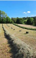 Foin, Zakelijke goederen, Landbouw | Veevoer, Ophalen