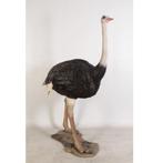 Ostrich – Struisvogel beeld - 213 cm, Verzamelen, Nieuw, Ophalen of Verzenden