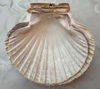 4 Schelpen voor visbereidingen - nieuw nooit gebruikt, Huis en Inrichting, Overige materialen, Nieuw, Ophalen of Verzenden, Bord(en)