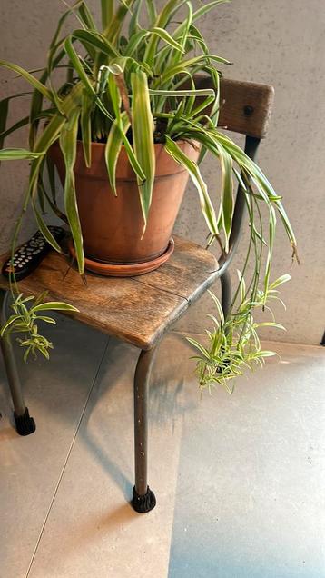 Leuke vintage stoelen  beschikbaar voor biedingen