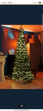 Triumph Pencil Pine Kerstboom, Diversen, Kerst, Ophalen