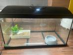 Aquarium bak, Dieren en Toebehoren, Ophalen, Gebruikt