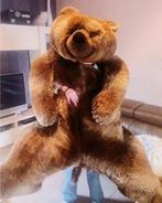 Grote pluchen beer, Ophalen of Verzenden, Zo goed als nieuw, Stoffen beer, Overige merken