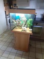 aquarium lido juwel 120 l + meubel, Gebruikt, Ophalen of Verzenden