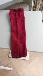 Pantalon en velours côtelé - Taille 110, Enfants & Bébés, Pantalon, Garçon, Enlèvement ou Envoi, Mallet