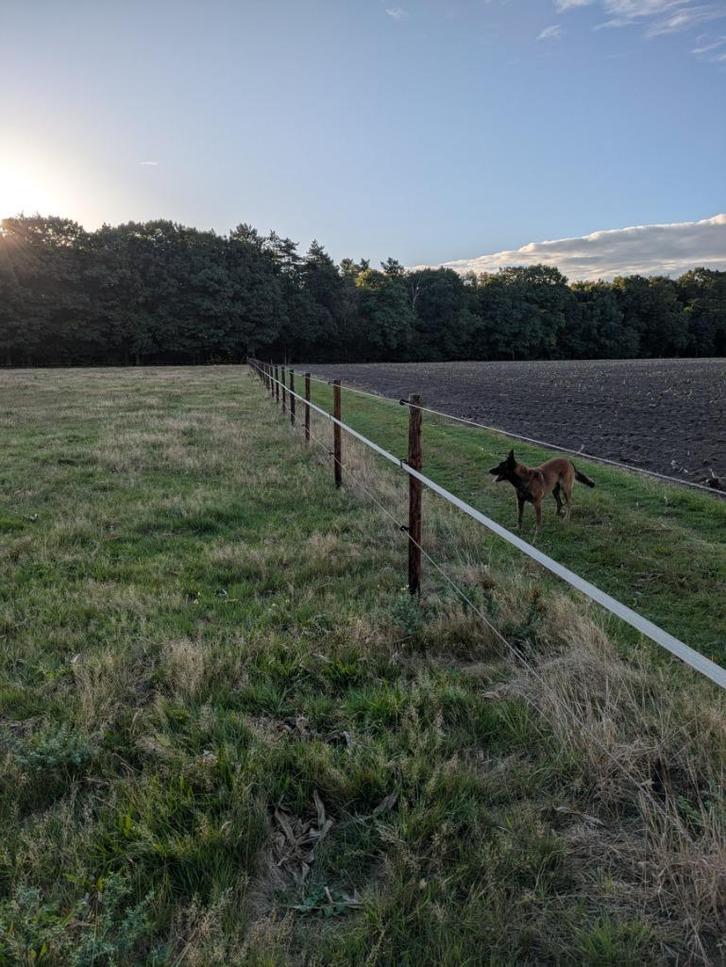 Paardenweide, Dieren en Toebehoren, Stalling en Weidegang, Weidegang, 2 of 3 paarden of pony's