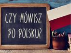 Online Beginnerscursus Pools, Diensten en Vakmensen, Cursussen en Workshops