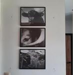 3 kaders, Ophalen, Zo goed als nieuw