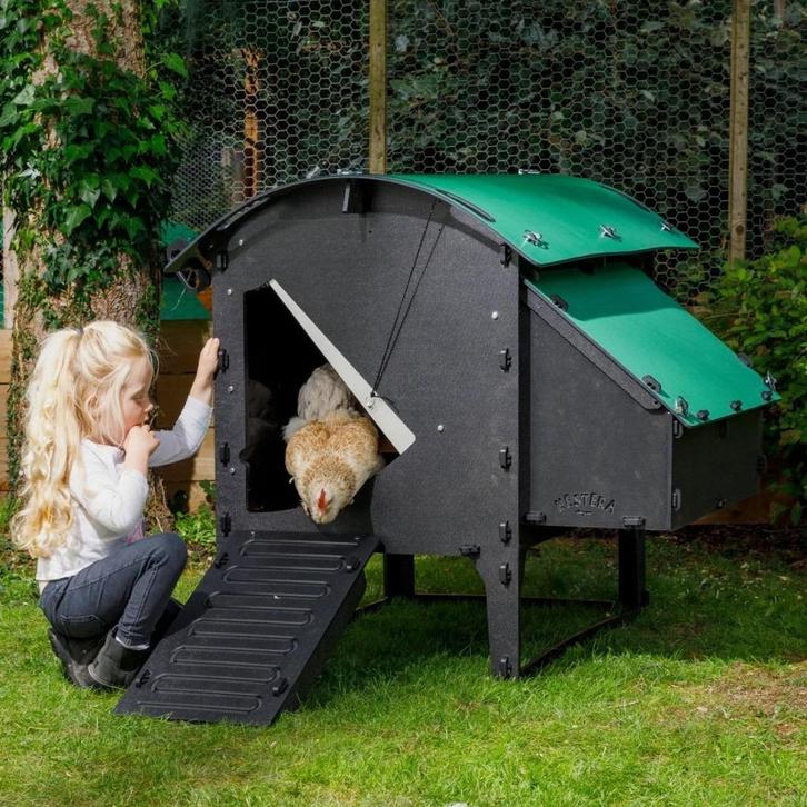 Nestera kippenhok: Lodge model, medium. OP VOORRAAD, Dieren en Toebehoren, Pluimvee | Toebehoren, Nieuw, Kippenhok of Kippenren