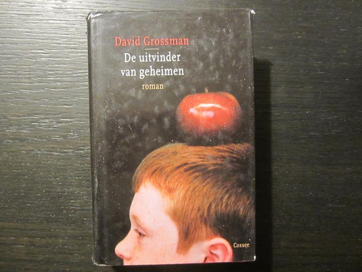 De uitvinder van geheimen  -David Grossman-, Boeken, Literatuur, Ophalen of Verzenden