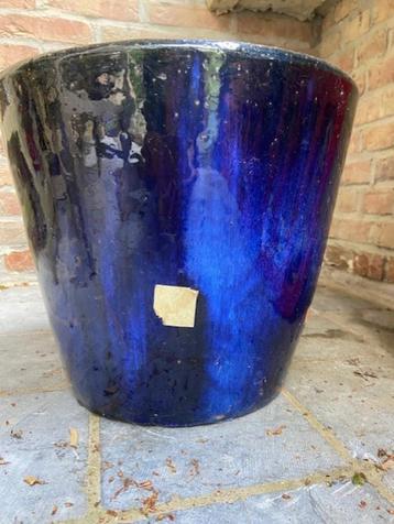 nouveau pot de 3 plantes en céramique émaillée bleue