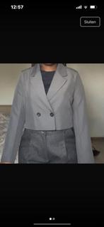 2 mini blazers, Kleding | Dames, Nieuw, Ophalen of Verzenden, Grijs, ANDERE