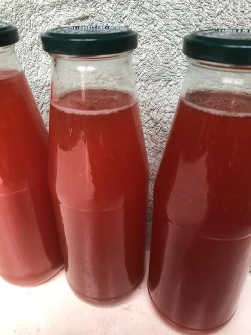 kombucha starter - nog 2 flessen beschikbaar - 650 ml / fles, Diversen, Levensmiddelen, Ophalen of Verzenden