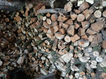 Droog brandhout te koop beschikbaar voor biedingen
