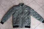 heren vest, Ophalen, Nieuw, Maat 56/58 (XL), Groen