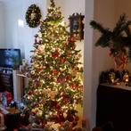 Kerstboom Triump Tree 2,30m, Ophalen