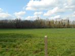 Weide, Ternat, Verkoop zonder makelaar, 1500 m² of meer