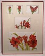 Jacqueline HALLEUX (XX–XXI) – Bloemstudie in opeenvolgende, Enlèvement