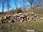 brandhout regio Maaseik, Tuin en Terras, Brandhout, Ophalen, Stammen